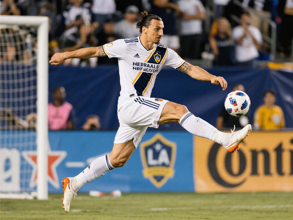 都需要做到 都需要做到